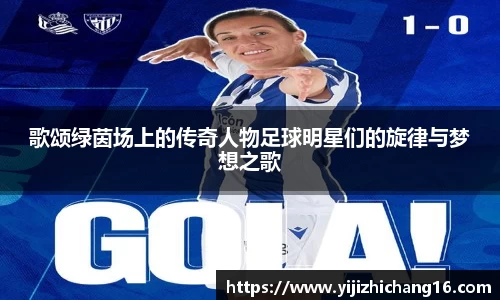 智博19有限公司