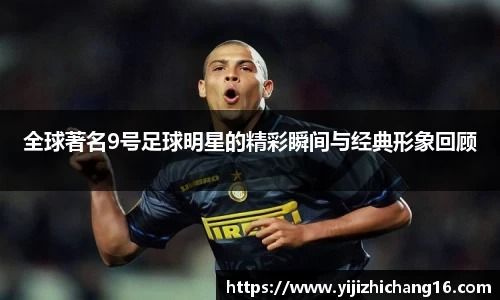 智博19有限公司